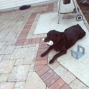 Meet your Posher, Patricia